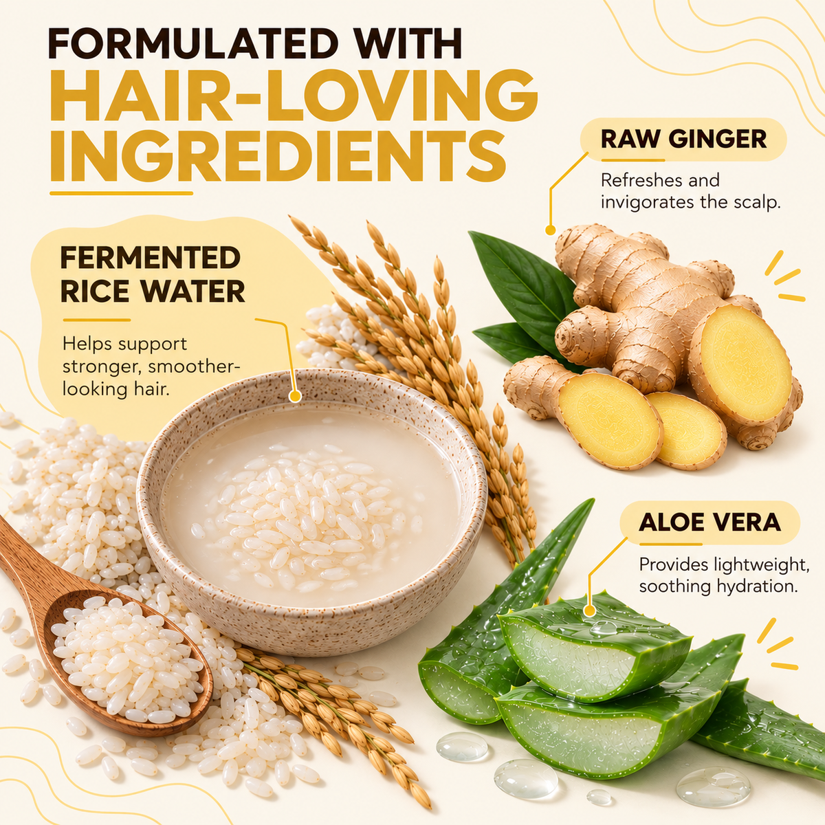 Fermented Rice Water Shampoo: Raw Ginger & Aloe Vera, 8oz