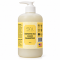 Fermented Rice Water Shampoo: Raw Ginger & Aloe Vera, 8oz